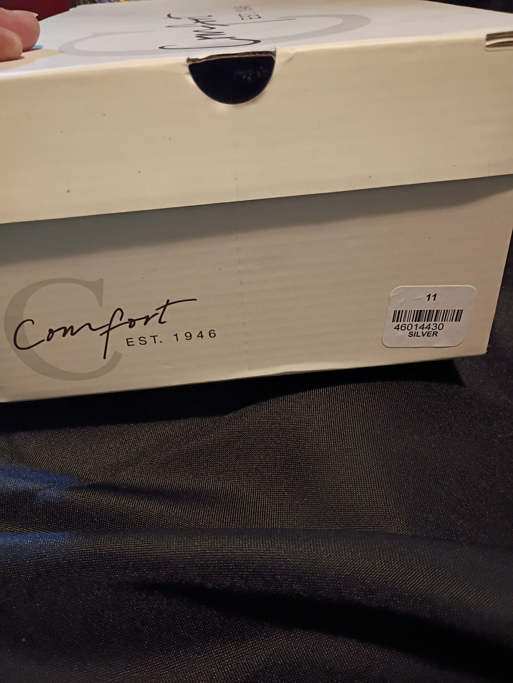 Converse Silver Sneakers